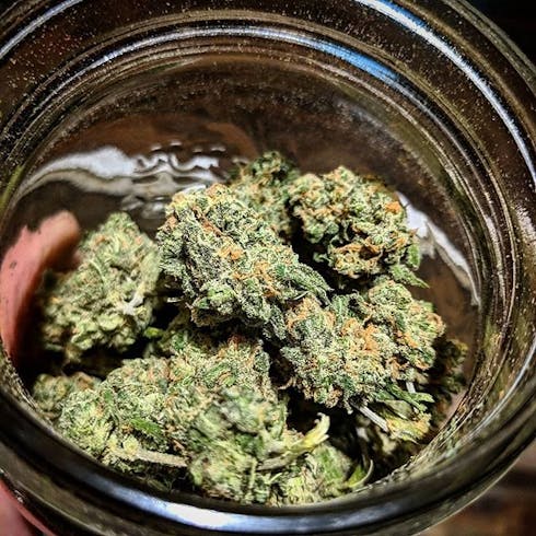 Fire Alien Strawberry