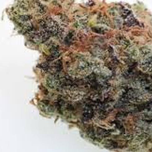 MED: Grape Goddess - Phantom Farms