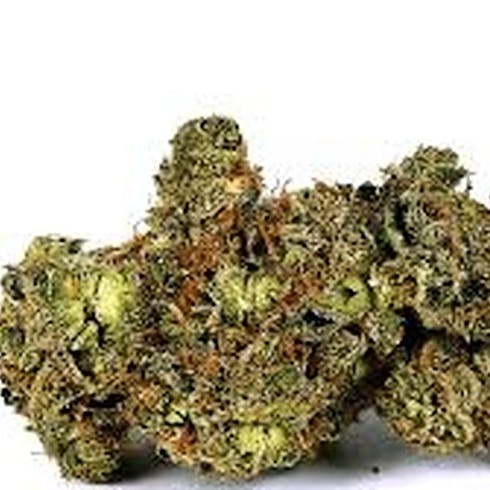 Snowball (Hybrid)