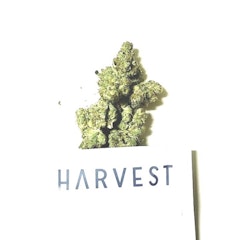 Harvest Cannabis Flower Querkle