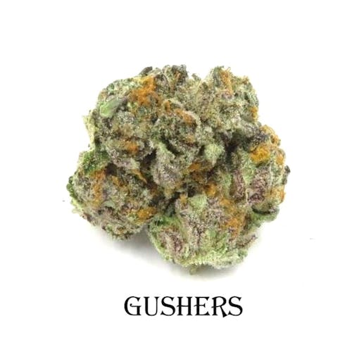 Gushers