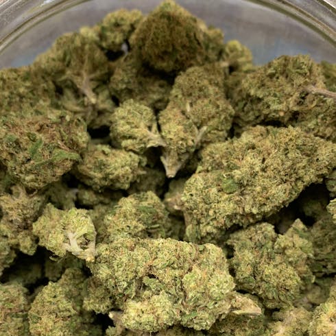 Lemon Kush (BZS Resource)