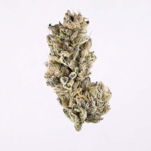 Purple Punch 2.0 (Indica) (1/8oz ONLY)
