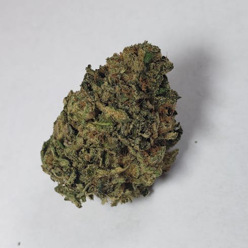 Platinum Animal Cookies