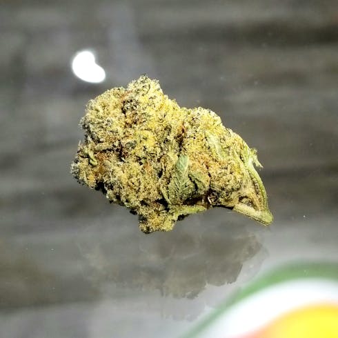 GG (#4)