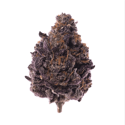 Dark Matter (Resin Rancher's)