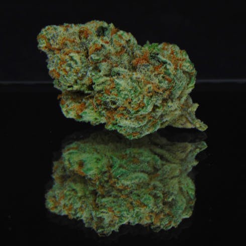 HeadDog (Headband x Guiness) * Sativa Dominant Hybrid