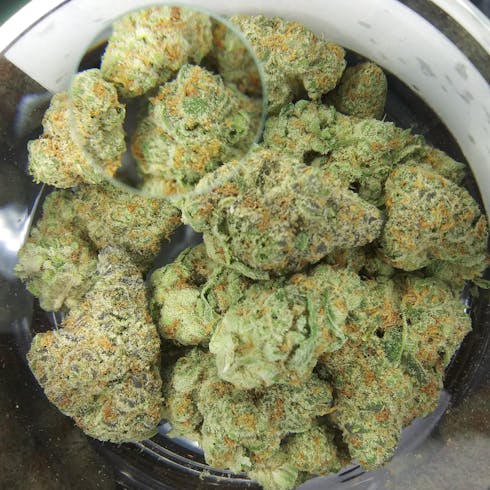 Punch Breath