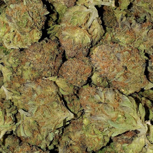 White Walker Kush