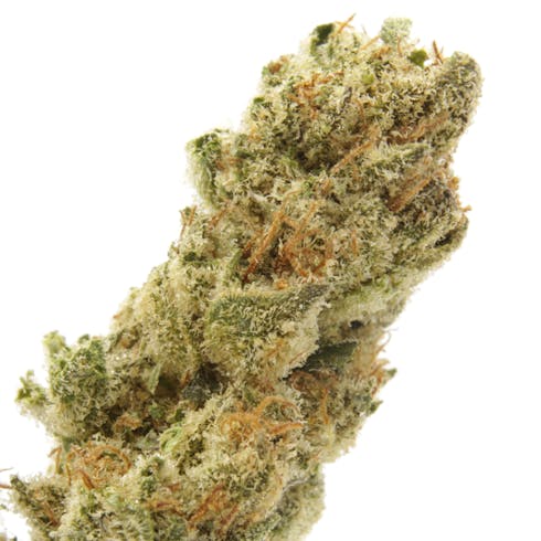 SOUR PINK LEMONADE