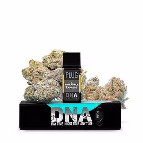 DNA PINEAPPLE EXPRESSS - 1G