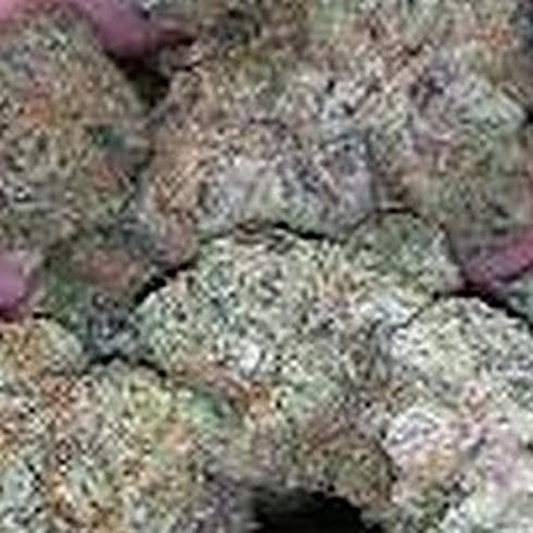 Dosi Mints- Indica
