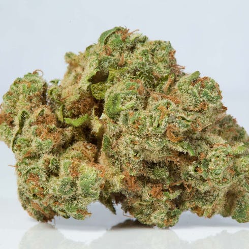 Blueberry Headband