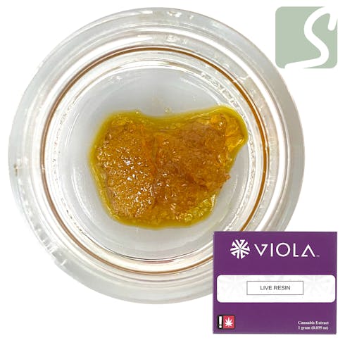 Banana Cookies - LIVE RESIN