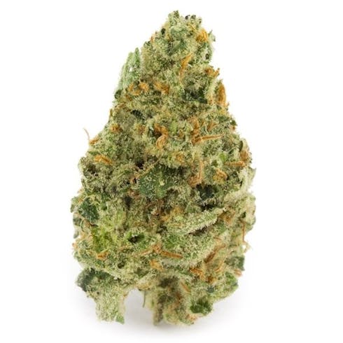 Super Silver Haze (Sativa)