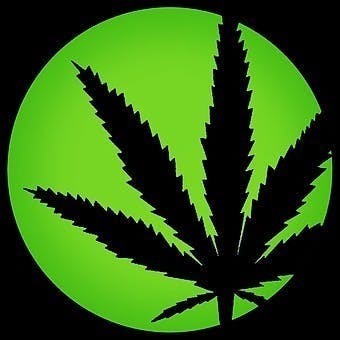 Cannabliss Dispensary (CBD)