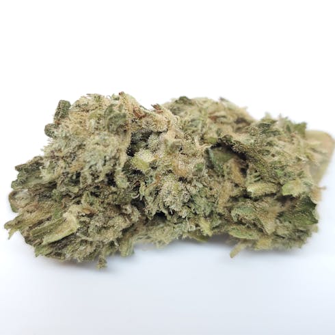 Blue Magoo