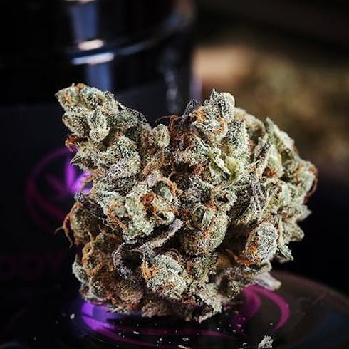 Gmo Cookies