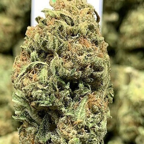 Birthday Cake Kush (Tax Included)