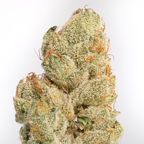 Grape Pie