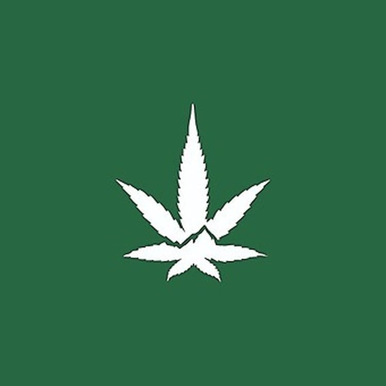 Rocky Mountain Cannabis - Naturita
