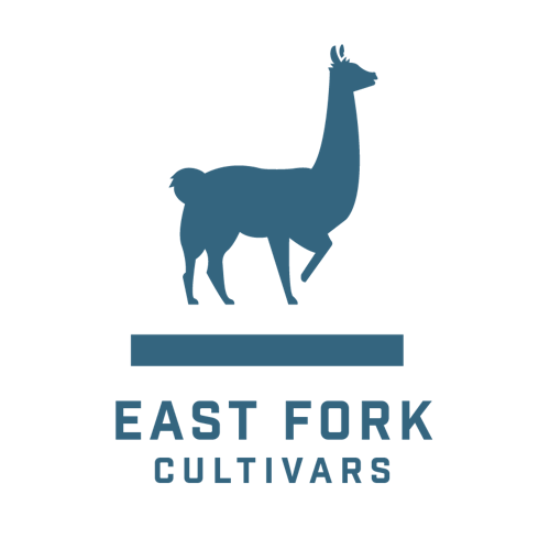Oregon Guava (EAST FORK CULTIVARS)
