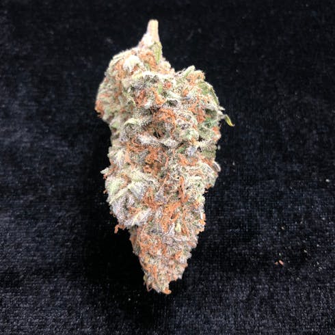 Cherry Pie