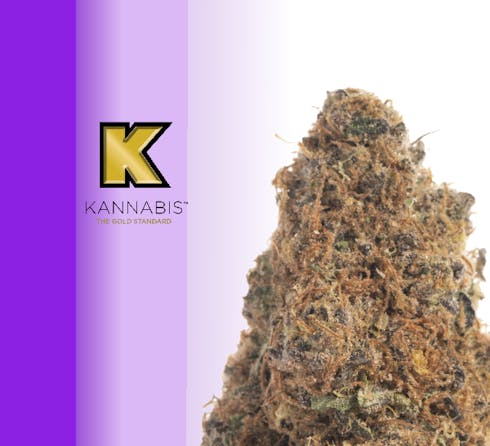 Strawberry Cheesecake (Kannabis)