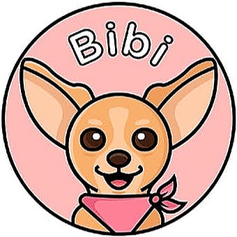 Bibi To Go - Fontana