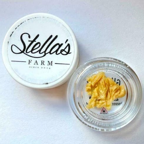 Live Gilz Nilz Rosin