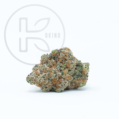 Slurricane | IdH