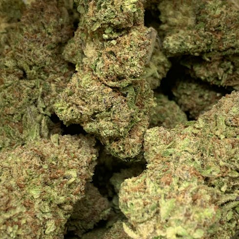 Tangelo (Epic Family Farms)