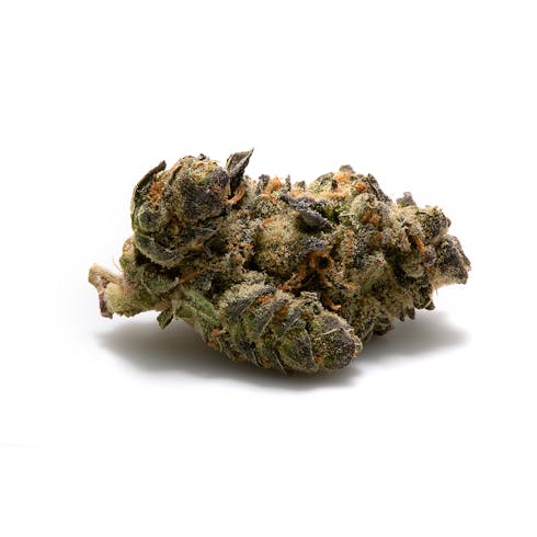 Purple Apricot