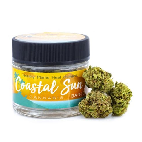 3.5g - Banjo (Hybrid) - Coastal Sun