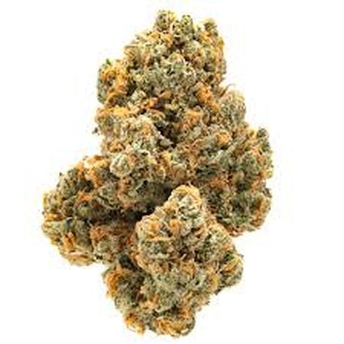 Green Crack (HUXTON)