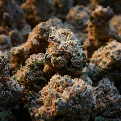 Bond Road Kush | Bond Road | Flower