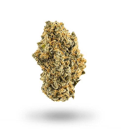 Blue Heron by Cannabis Nation