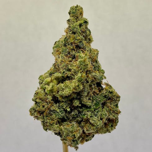MAC (Organabis)