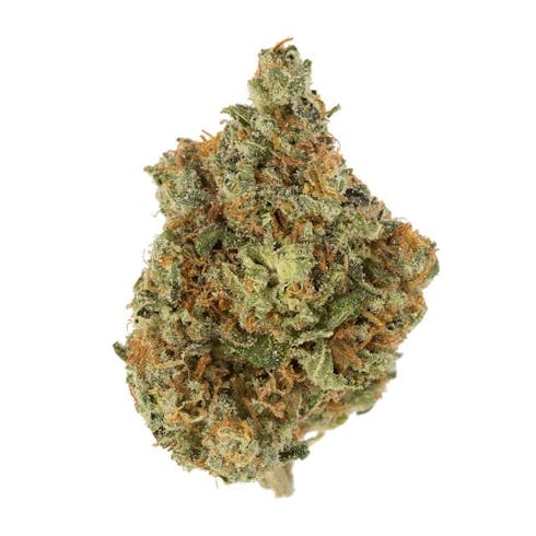 Black Jack (indoor)