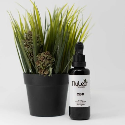 2425mg CBD Full Spectrum Tincture 50ml Bottle