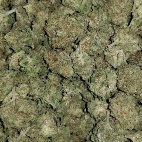 MAC (Miracle Alien Cookies)