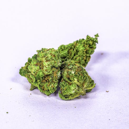 Gold-3.6-Hash Plant 12.53%