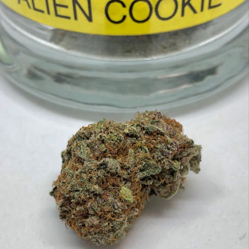 Alien Cookie