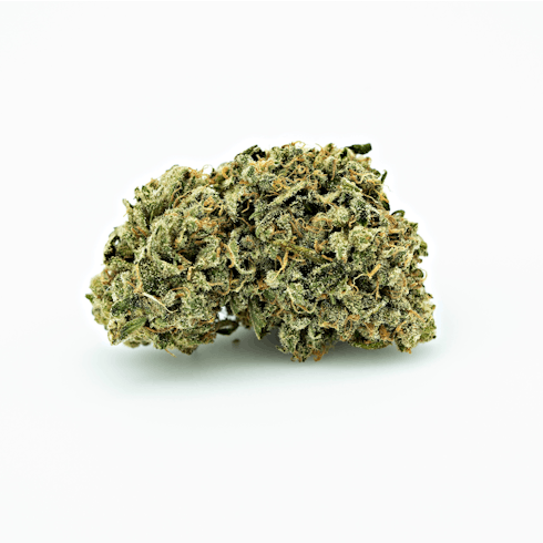 Canna - So - Hard Trimmed