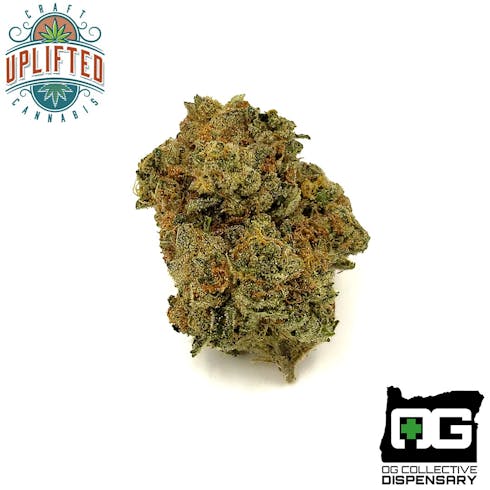 WOOK from UPLIFTED