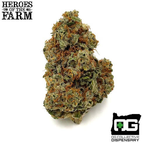 DOWNTOWN LOUNGE from HEROES OF THE FARM