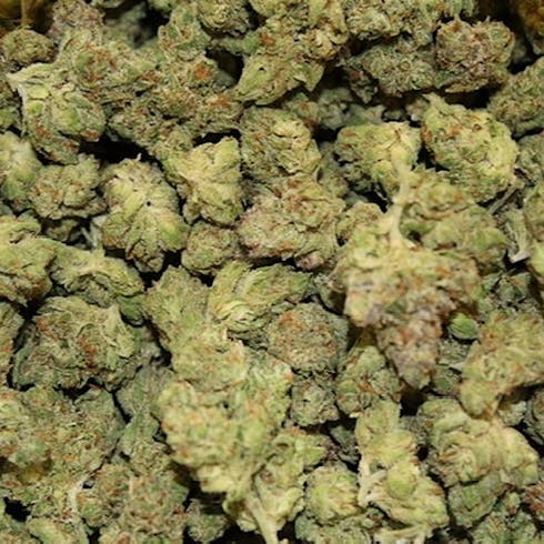 Prezidential Kush by Lean LLC