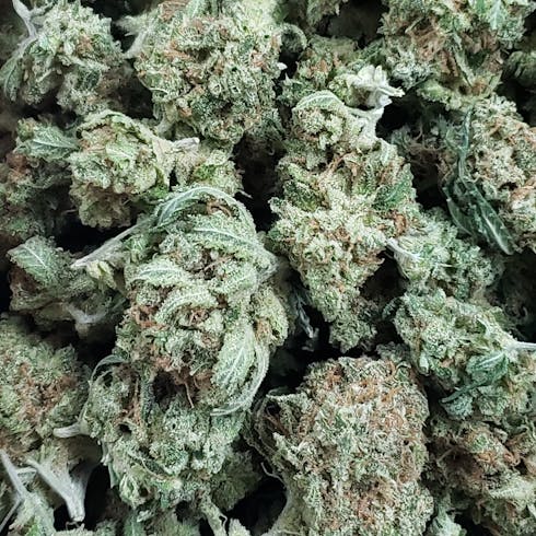 Original Glue (f.k.a. GG4)