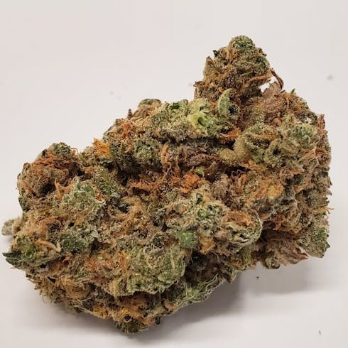 Med 21+ Blue Dream (S/H)