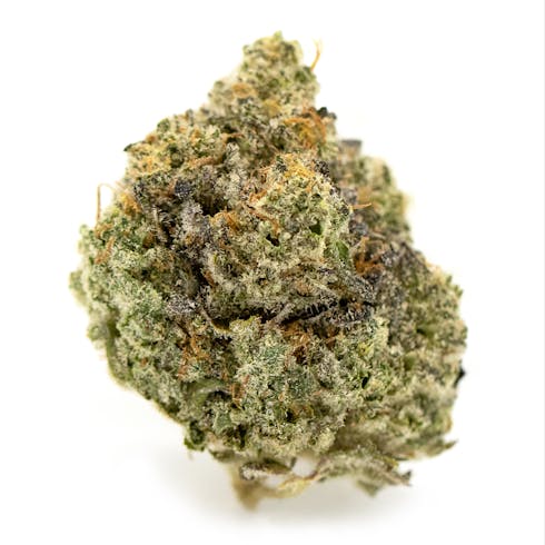 Grease Monkey (H)